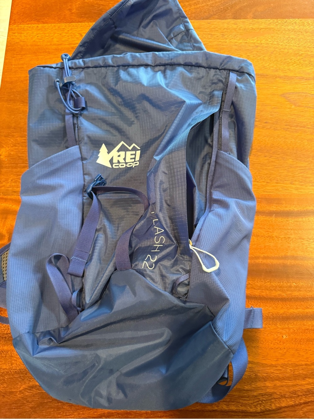 Blue REI Flash 22 Daypack